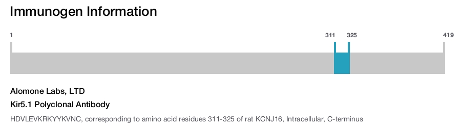 Kir5.1 Polyclonal Antibody