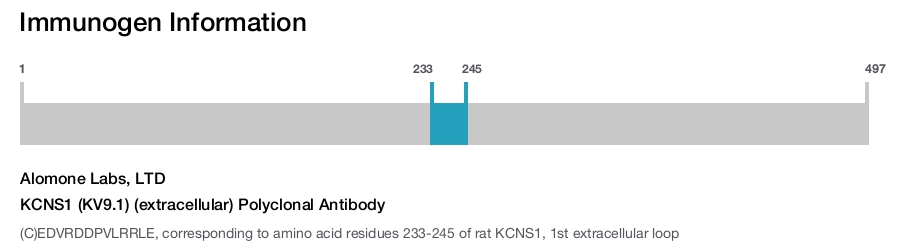 KCNS1 (KV9.1) (extracellular) Polyclonal Antibody