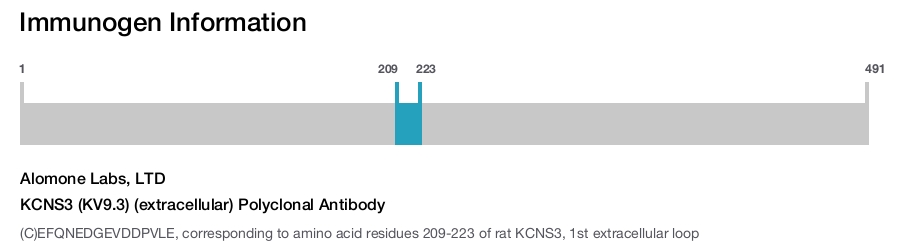 KCNS3 (KV9.3) (extracellular) Polyclonal Antibody