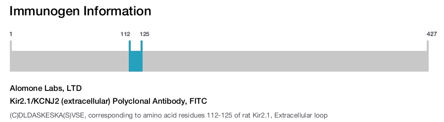 Kir2.1/KCNJ2 (extracellular) Polyclonal Antibody, FITC