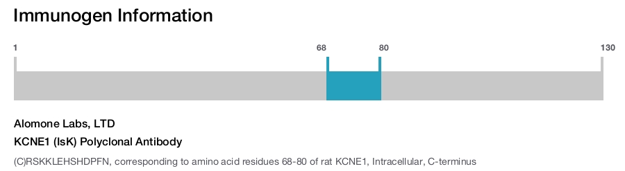 KCNE1 (IsK) Polyclonal Antibody