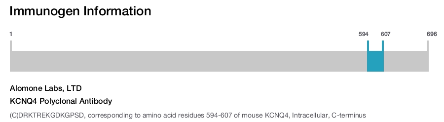 KCNQ4 Polyclonal Antibody
