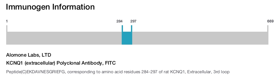 KCNQ1 (extracellular) Polyclonal Antibody, FITC