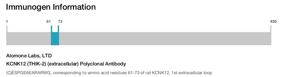 KCNK12 (THIK-2) (extracellular) Polyclonal Antibody