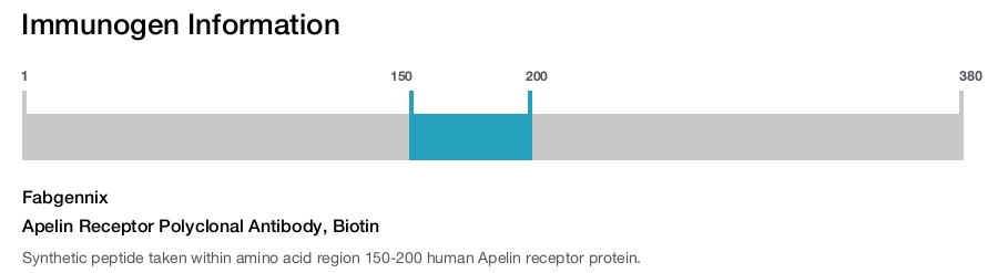 Apelin Receptor Polyclonal Antibody, Biotin