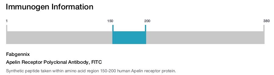 Apelin Receptor Polyclonal Antibody, FITC