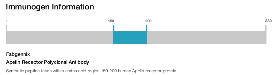 Apelin Receptor Polyclonal Antibody