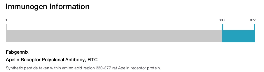 Apelin Receptor Polyclonal Antibody, FITC