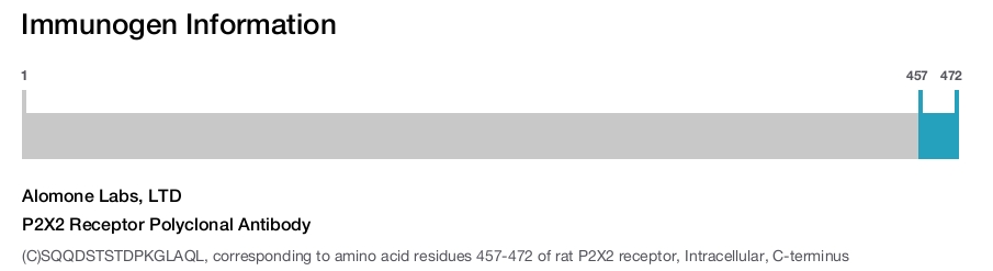 P2X2 Receptor Polyclonal Antibody