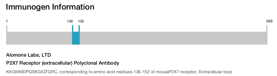 P2X7 Receptor (extracellular) Polyclonal Antibody