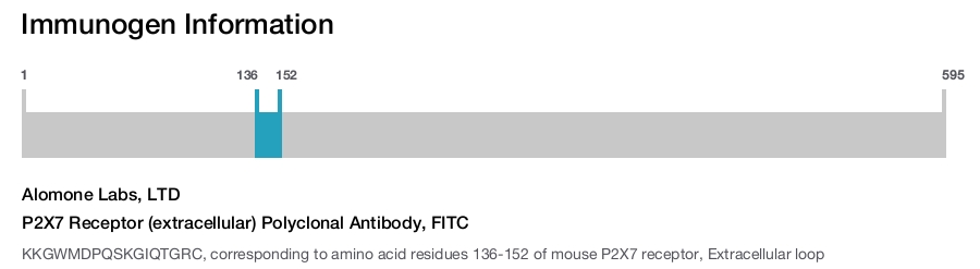 P2X7 Receptor (extracellular) Polyclonal Antibody, FITC
