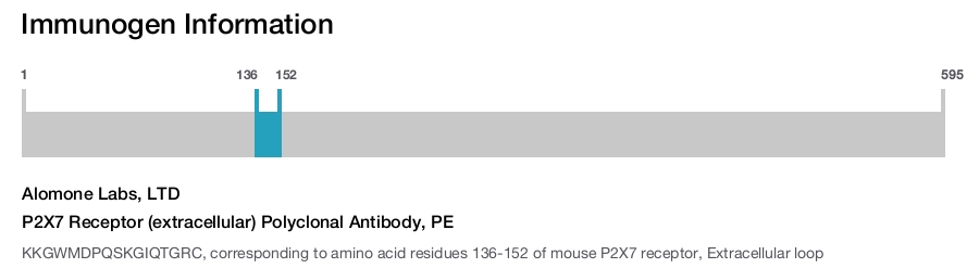 P2X7 Receptor (extracellular) Polyclonal Antibody, PE