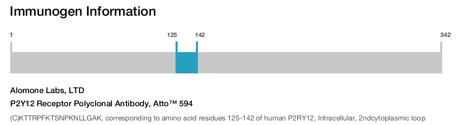 P2Y12 Receptor Polyclonal Antibody, Atto™ 594