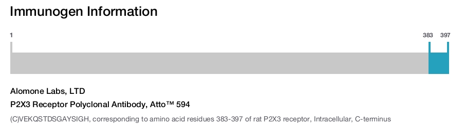 P2X3 Receptor Polyclonal Antibody, Atto™ 594