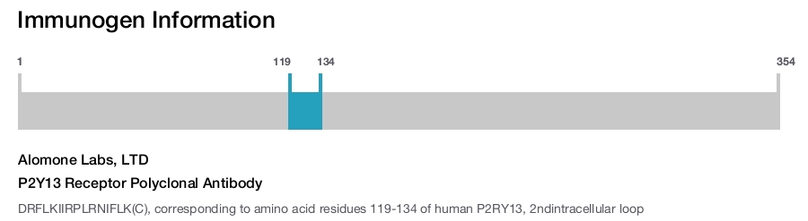 P2Y13 Receptor Polyclonal Antibody