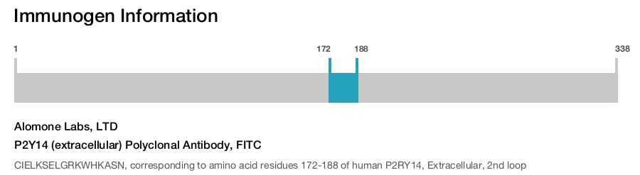 P2Y14 (extracellular) Polyclonal Antibody, FITC