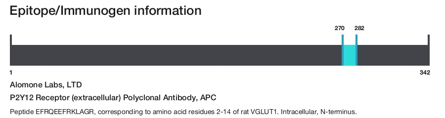 P2Y12 Receptor (extracellular) Polyclonal Antibody, APC