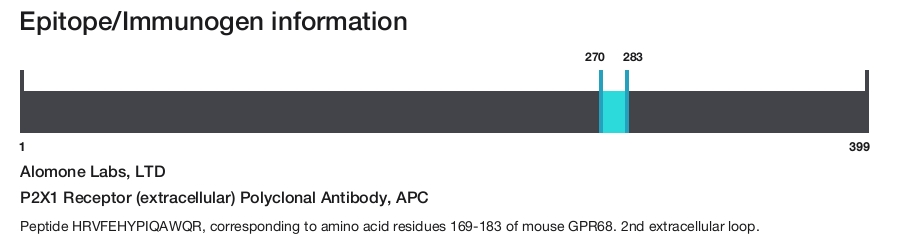 P2X1 Receptor (extracellular) Polyclonal Antibody, APC
