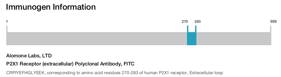 P2X1 Receptor (extracellular) Polyclonal Antibody, FITC