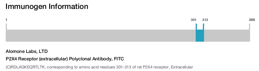P2X4 Receptor (extracellular) Polyclonal Antibody, FITC