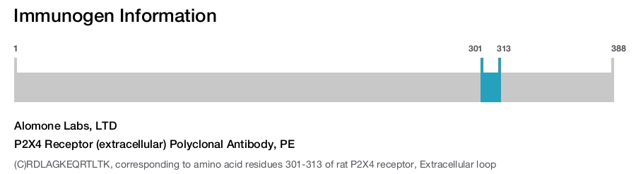 P2X4 Receptor (extracellular) Polyclonal Antibody, PE