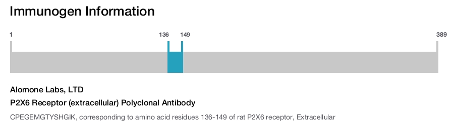 P2X6 Receptor (extracellular) Polyclonal Antibody