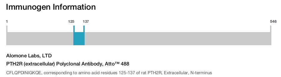 PTH2R (extracellular) Polyclonal Antibody, Atto™ 488