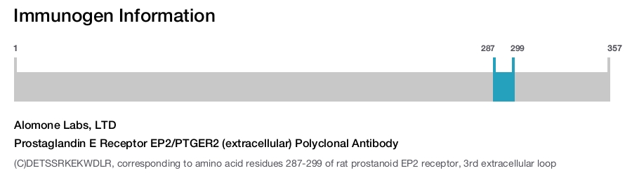 Prostaglandin E Receptor EP2/PTGER2 (extracellular) Polyclonal Antibody