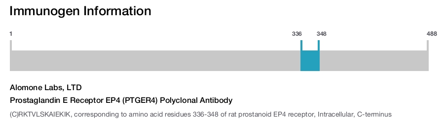Prostaglandin E Receptor EP4 (PTGER4) Polyclonal Antibody