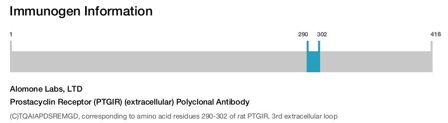 Prostacyclin Receptor (PTGIR) (extracellular) Polyclonal Antibody
