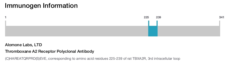 Thromboxane A2 Receptor Polyclonal Antibody