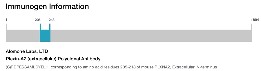 Plexin-A2 (extracellular) Polyclonal Antibody