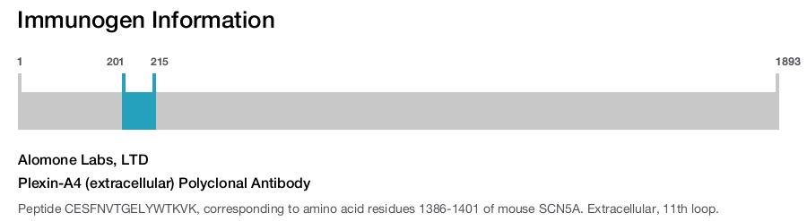 Plexin-A4 (extracellular) Polyclonal Antibody