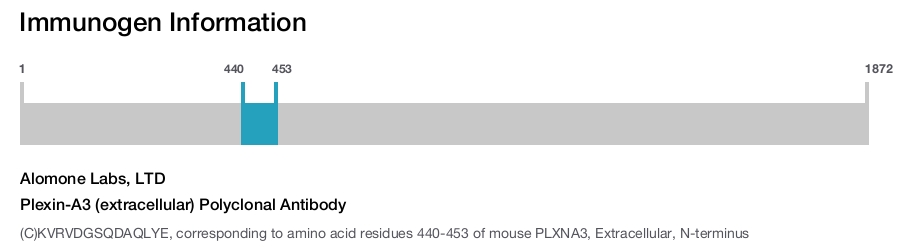 Plexin-A3 (extracellular) Polyclonal Antibody