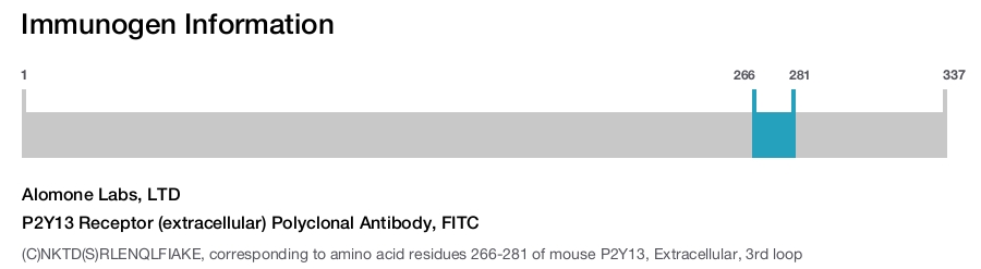 P2Y13 Receptor (extracellular) Polyclonal Antibody, FITC