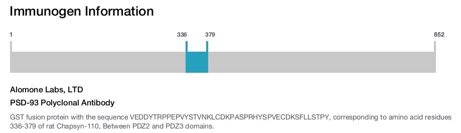 PSD-93 Polyclonal Antibody