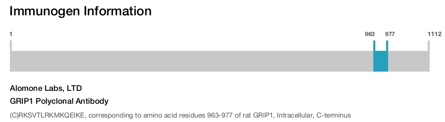 GRIP1 Polyclonal Antibody