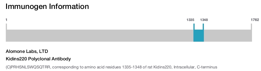 Kidins220 Polyclonal Antibody