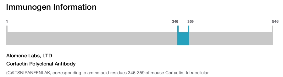 Cortactin Polyclonal Antibody