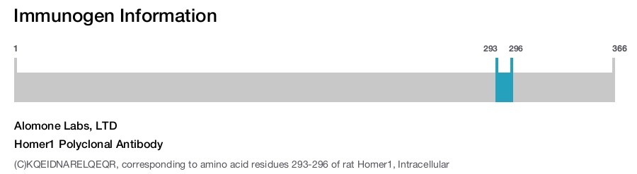 Homer1 Polyclonal Antibody