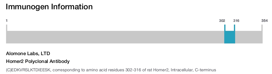 Homer2 Polyclonal Antibody