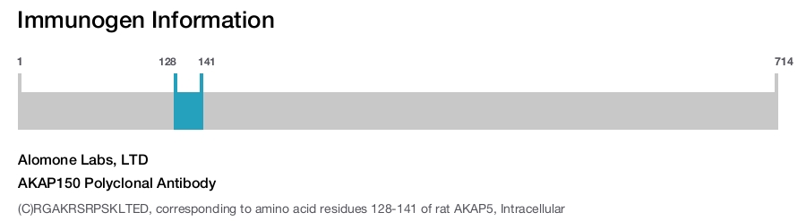 AKAP150 Polyclonal Antibody