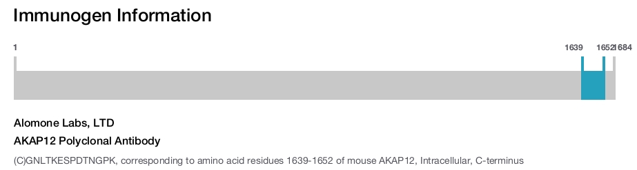 AKAP12 Polyclonal Antibody