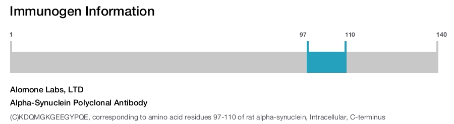 Alpha-Synuclein Polyclonal Antibody
