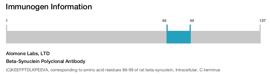 Beta-Synuclein Polyclonal Antibody