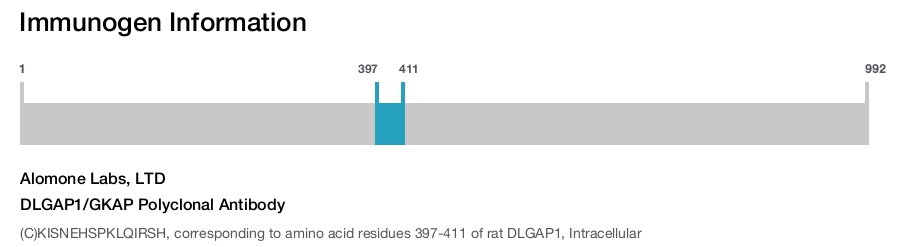 DLGAP1/GKAP Polyclonal Antibody