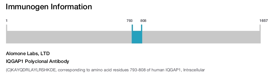 IQGAP1 Polyclonal Antibody