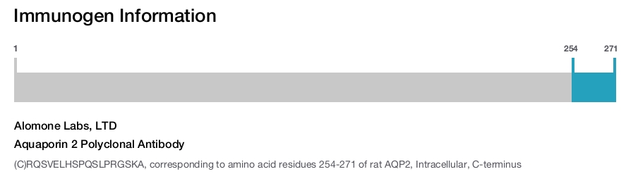 Aquaporin 2 Polyclonal Antibody