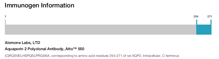 Aquaporin 2 Polyclonal Antibody, Atto™ 550
