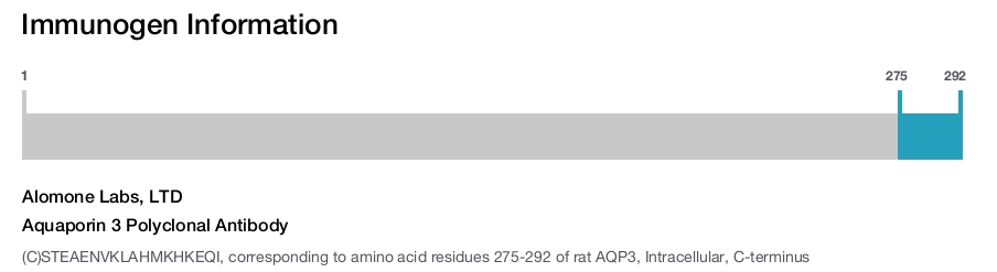 Aquaporin 3 Polyclonal Antibody